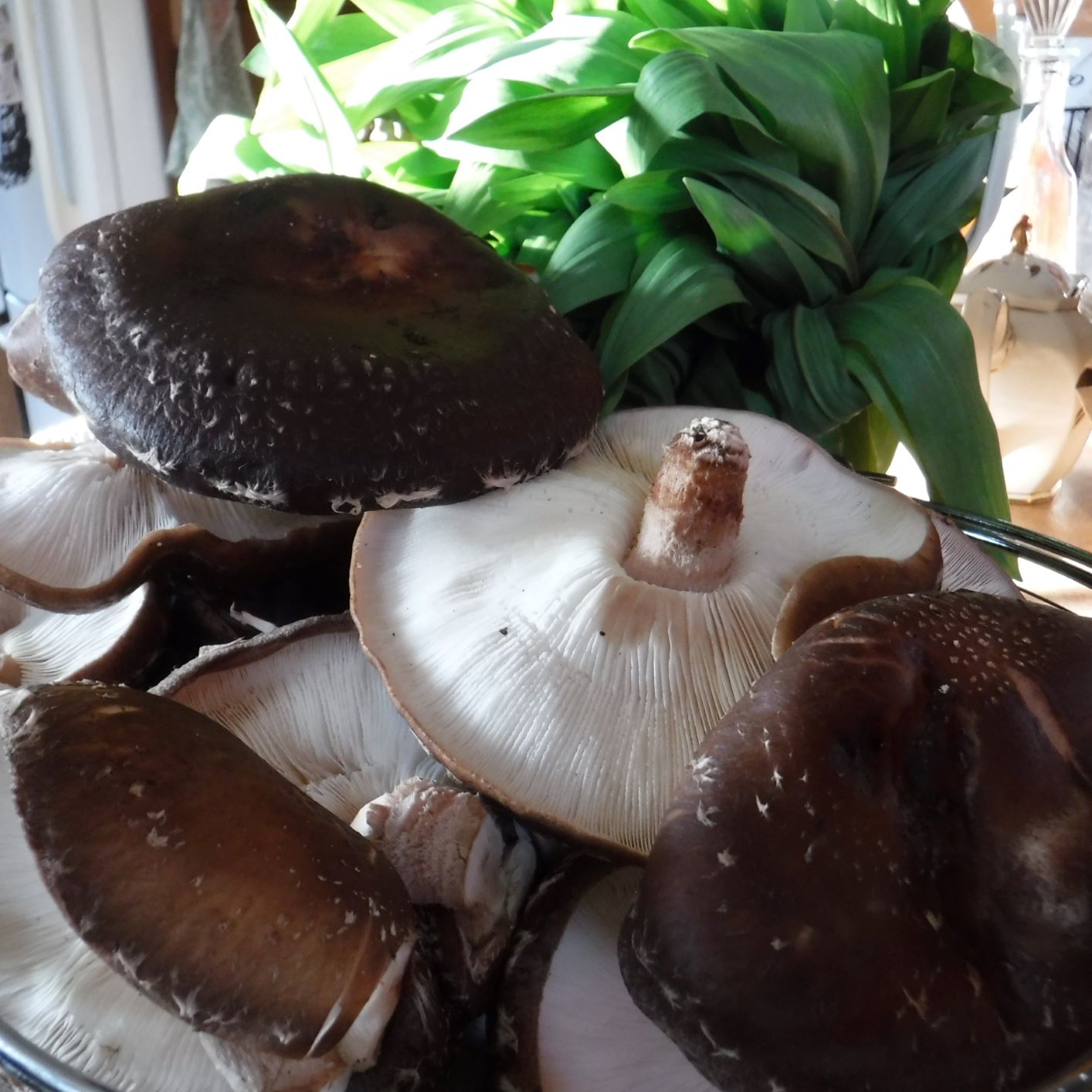 shitake mushrooms with wild leeks