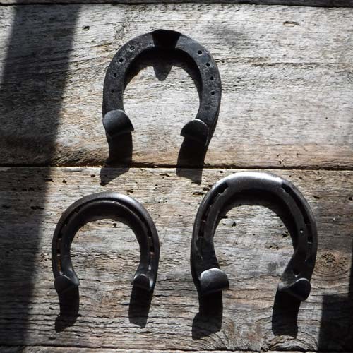 horseshoe hooks