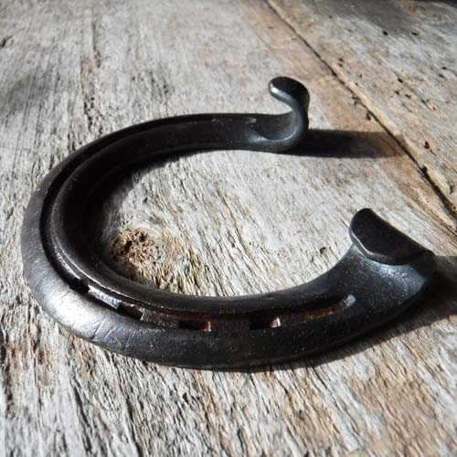 horseshoe detail