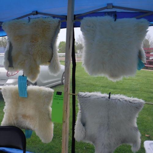 sheepskins